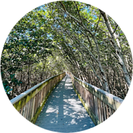 Weedon Island Preserve Boardwalk