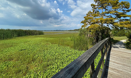 Boyd Hill Nature Preserve